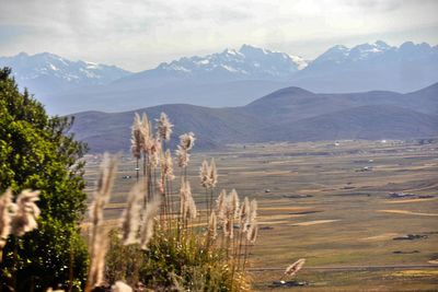 Scenic view of landscape and mountains against sky