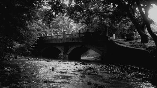 Arch bridge over river in forest