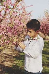 Girl holding pink flower standing by tree