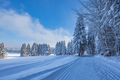 Trees on snow covered land against sky