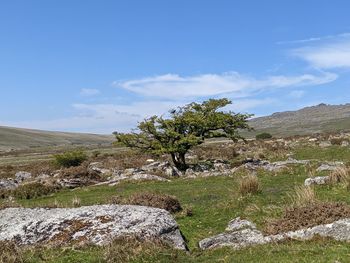 Scenic view of rocks on field against sky