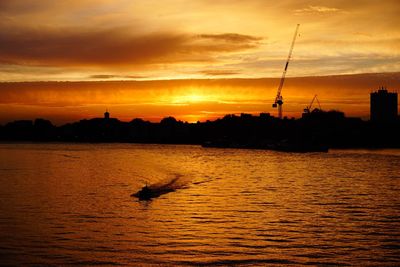 Silhouette birds on shore against sky during sunset