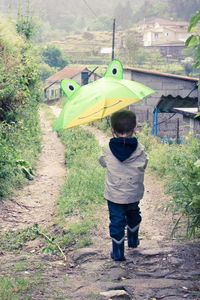 Rear view of boy standing on road