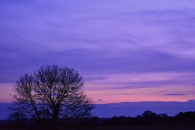 Silhouette trees on field against sky at sunset