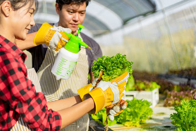 Colleagues watering leaf vegetables in greenhouse