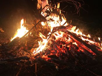 Close-up of bonfire at night