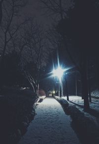 Road amidst bare trees during winter at night