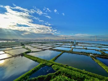 Scenic view of agricultural landscape against blue sky