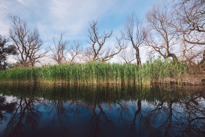 Scenic view of lake against sky