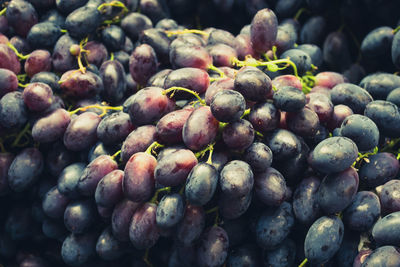 Detail shot of black grapes