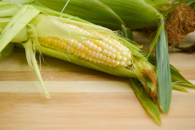 Close-up of corn on table