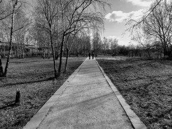 Bare trees in park against sky