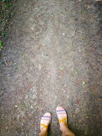 Low section of woman standing on ground