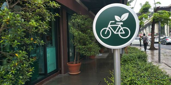 Information sign on potted plant