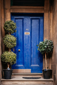 Blue wooden front door with potted plants in scotland, beatifully decorated entry way