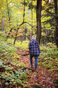 Rear view of woman walking in forest during autumn