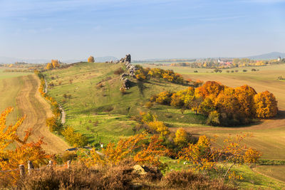 Scenic view of agricultural field against sky