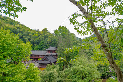 House amidst trees and plants in forest against sky