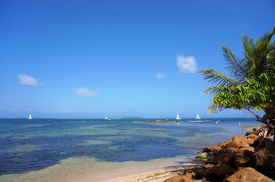 Scenic view of sea against blue sky