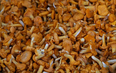 Full frame shot of mushrooms for sale at market