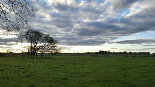 Scenic view of landscape against dramatic sky