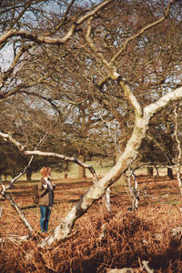 Man sitting on tree trunk in forest