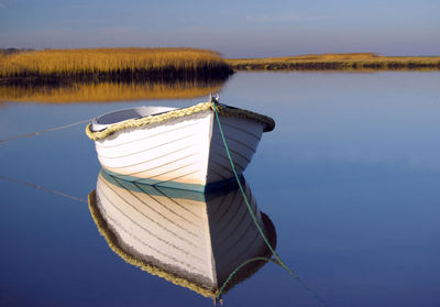 Calm lake with trees in background