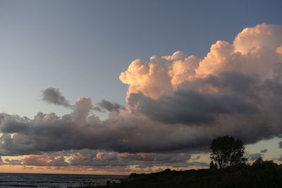 Low angle view of silhouette trees against sky during sunset