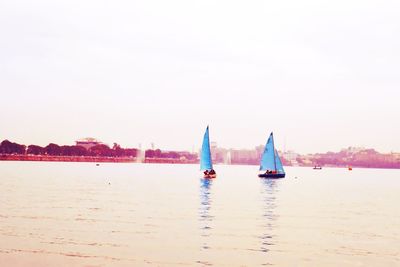 Sailboats sailing in sea against clear sky
