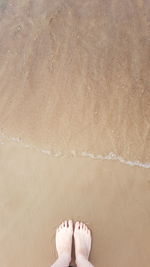 Low section of person on sand at beach