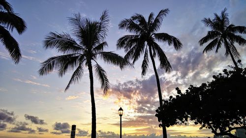 Silhouette palm trees against sky during sunset