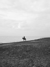 Man and horse on beach against sky