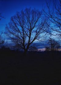 Silhouette bare tree against sky at night