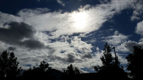 Low angle view of trees against sky