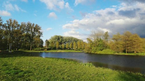 Scenic view of lake and trees against sky