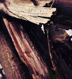 Close-up of leaf on wood