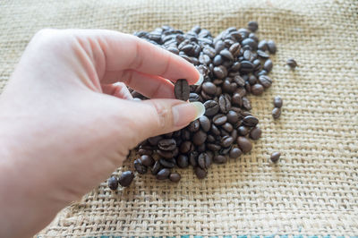 High angle view of hand holding coffee beans