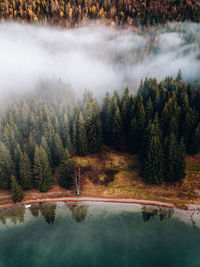 Aerial view of lake and forest during foggy weather