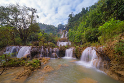 Scenic view of waterfall in forest
