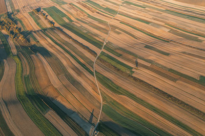 High angle view of agricultural field