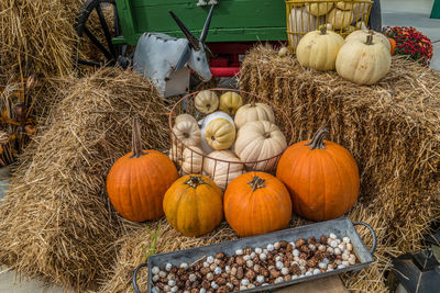 Pumpkins for sale in market