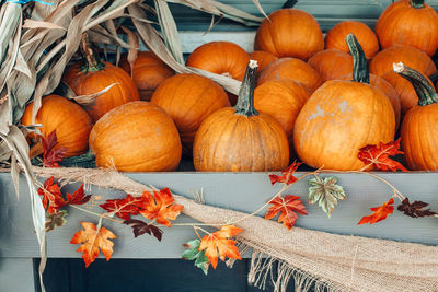 Close-up of pumpkins on autumn leaves