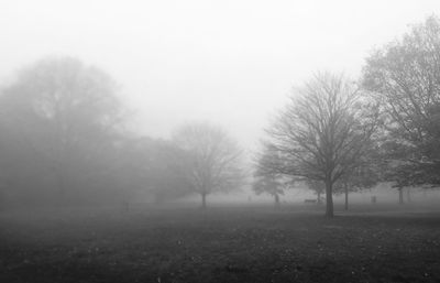 Bare trees on field against sky