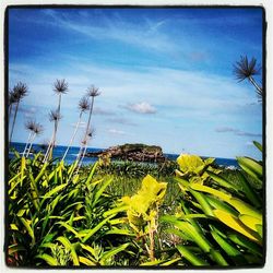 Scenic view of field against cloudy sky