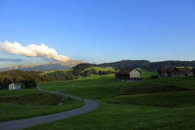 Scenic view of agricultural field against blue sky