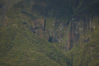 High angle view of green landscape