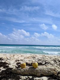 Scenic view of beach against sky