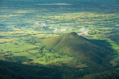 High angle view of agricultural field