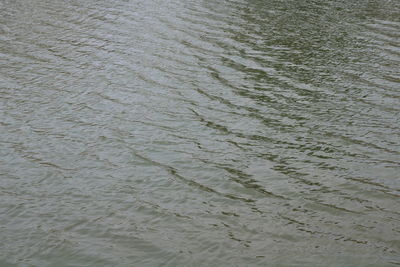 Full frame shot of rippled water