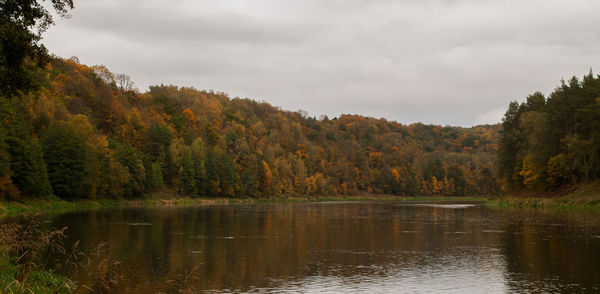 Scenic view of lake by trees against sky